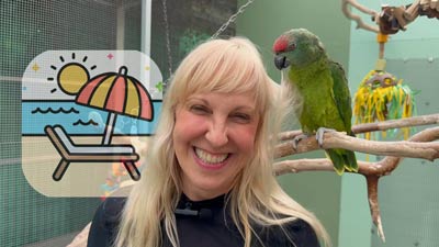 Papageienhotel: Ihr Tier bestens betreut
